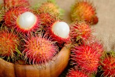 Rambutan.jpg