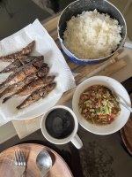 IMG_1629.jpeg IMG_1629.jpeg