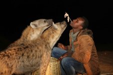 feeding-wild-hyenas.jpg