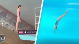 1723257281693.png 1723257281693.png