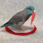 received_462433959219985.gif received_462433959219985.gif