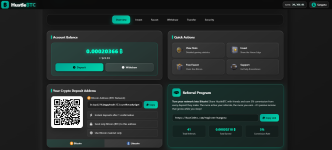 HustleBTC Bitcoin Crash Game HustleBTC Bitcoin Crash Game