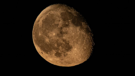 1756019519046.png