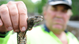 1761116380091.png 1761116380091.png