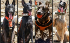 1761272631391.png 1761272631391.png